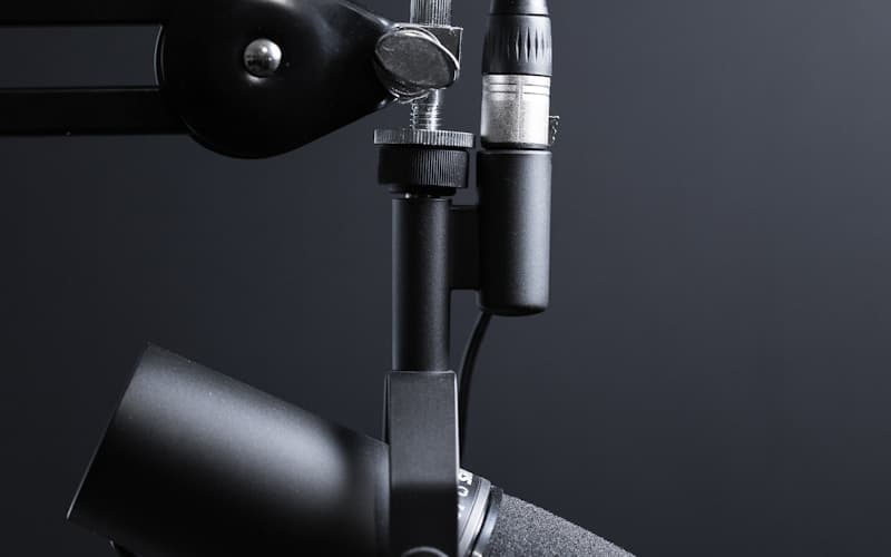 Realistic Lip Sync & Voice Integration